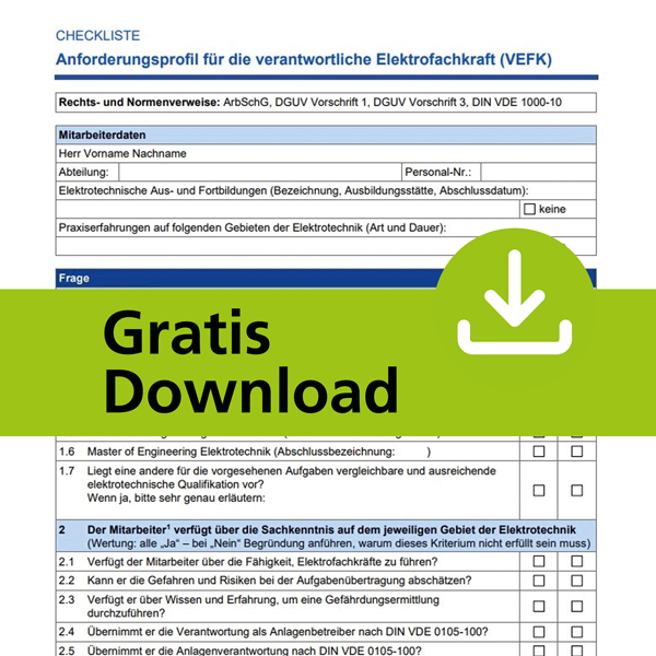 VEFK (verantwortliche Elektrofachkraft): Voraussetzungen