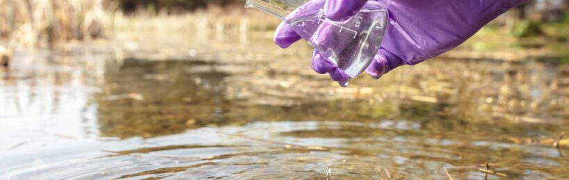 Eine Hand mit lila Einweghandschuh, die mit einer Phiole klares Wasser aus einem Teich entnimmt